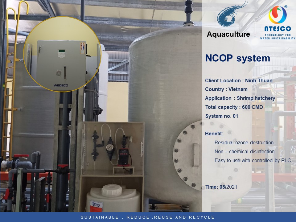 NTESCO có đầy đủ các thiết bị phù hợp cho từng ứng dụng khử trùng nước: Nzon, Ncop, NUV, CQOS...